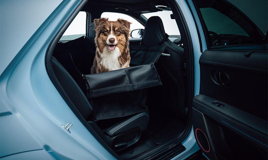 BestEvMod Pet Seat Cover — Hyundai Ioniq 5