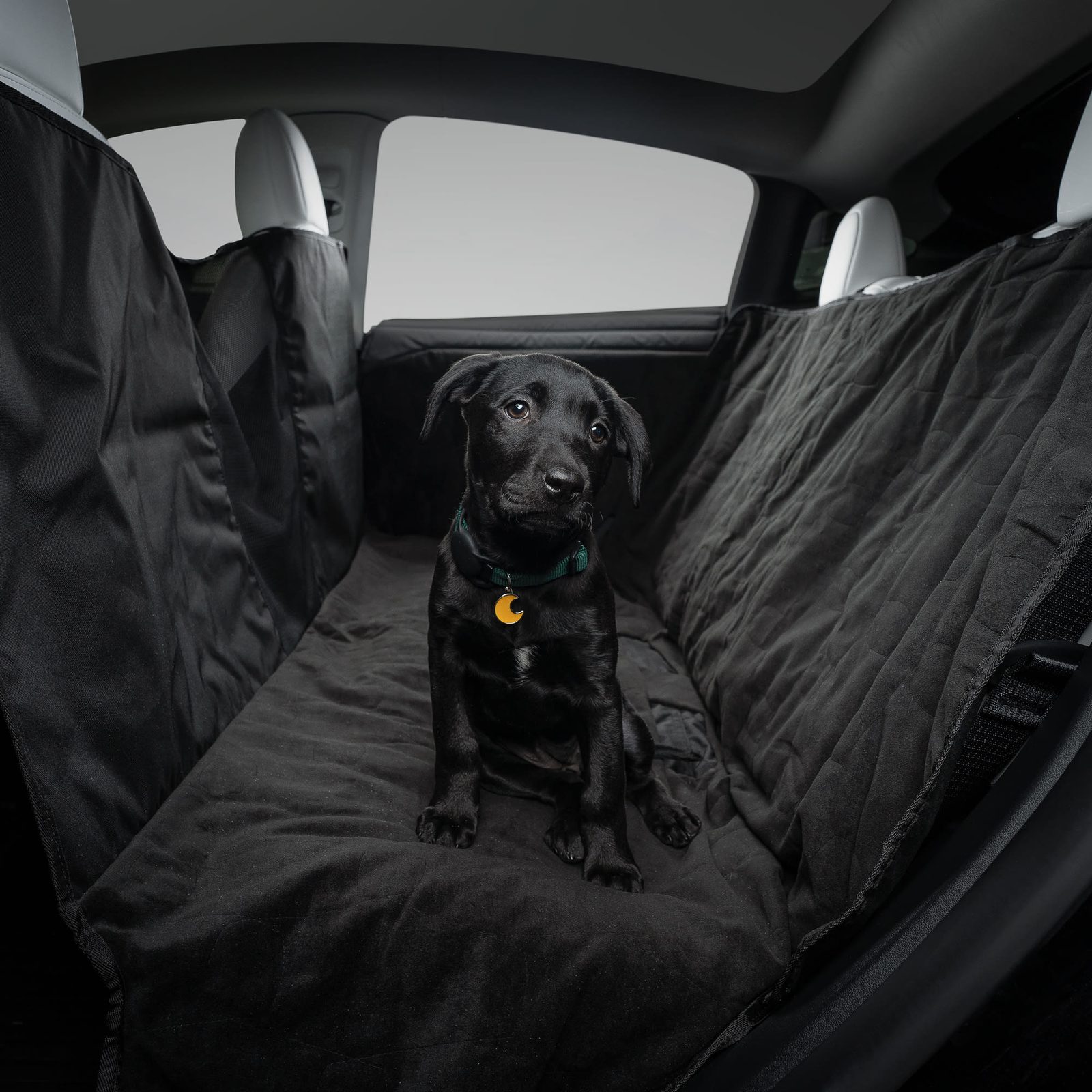 Tesla Model 3/Y Waterproof Dog Hammock with Door Protectors
